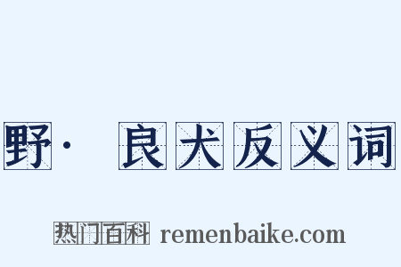 野·良犬反义词是什么意思的图片
